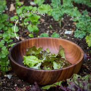Entertainers Acacia Salad & Serving Bowl (26cm)