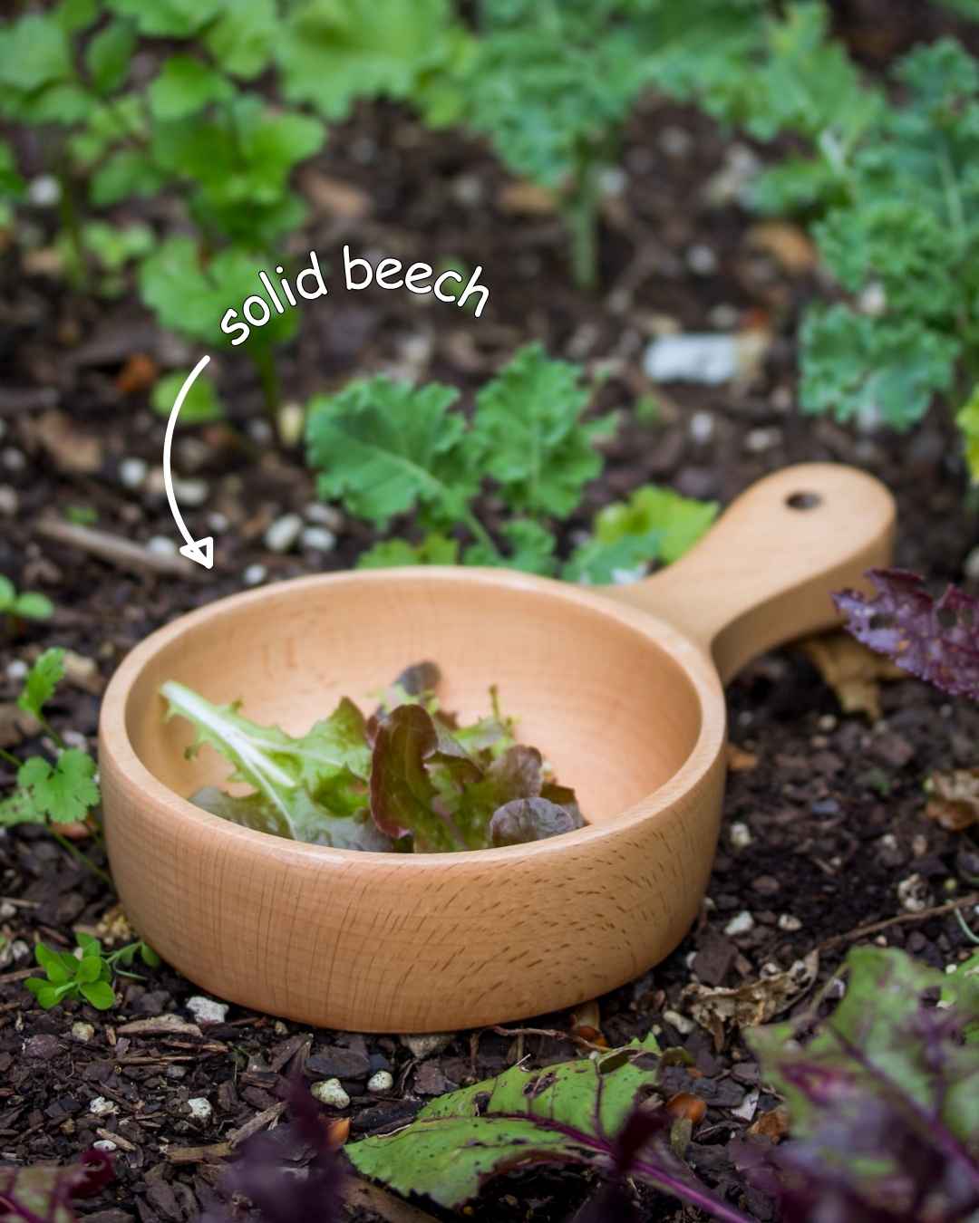 Entertainers Beech Handled Snack Bowl (15cm)