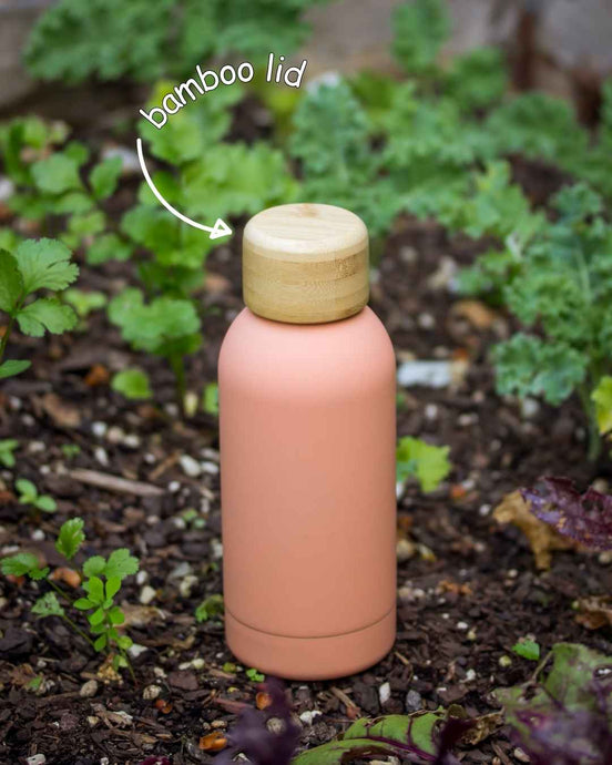 Palette Mini Insulated Water Bottle (350ml) - Soft Peach