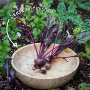 Beeswax Bamboo Salad Bowl (23cm)
