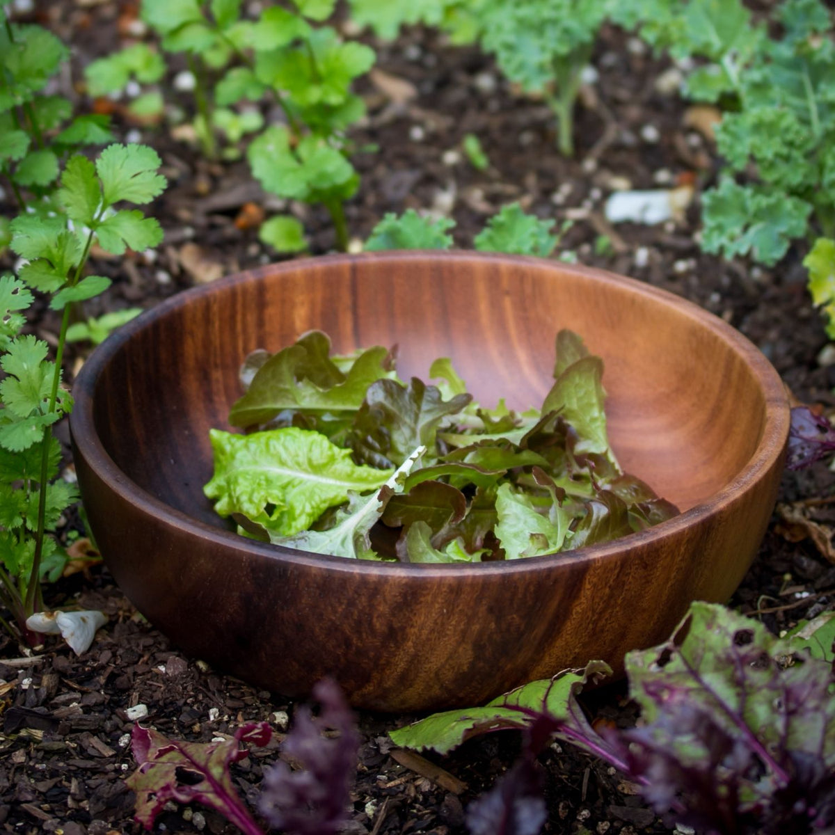 Acacia Salad & Serving Bowl (26cm)