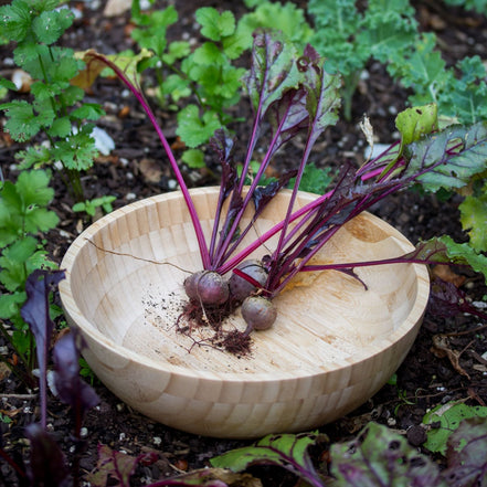 Beeswax Bamboo Salad Bowl (23cm)